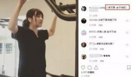 老徐爆料视频大全,揭秘娱乐圈幕后真相